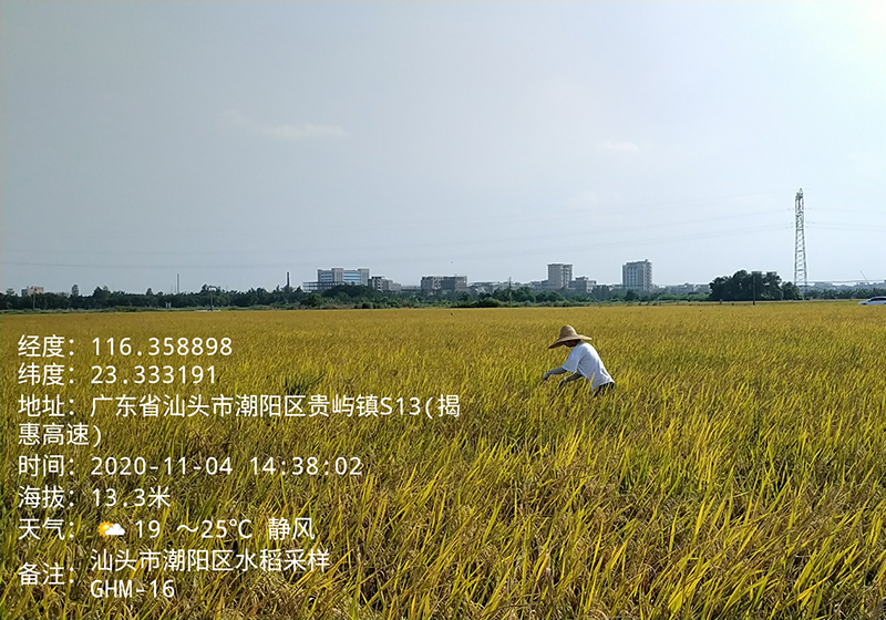 受污染耕地安全利用检测