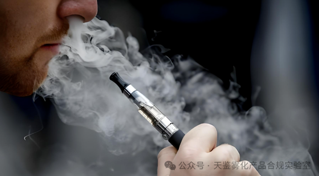 欧洲：一次性电子火因禁令最新进展